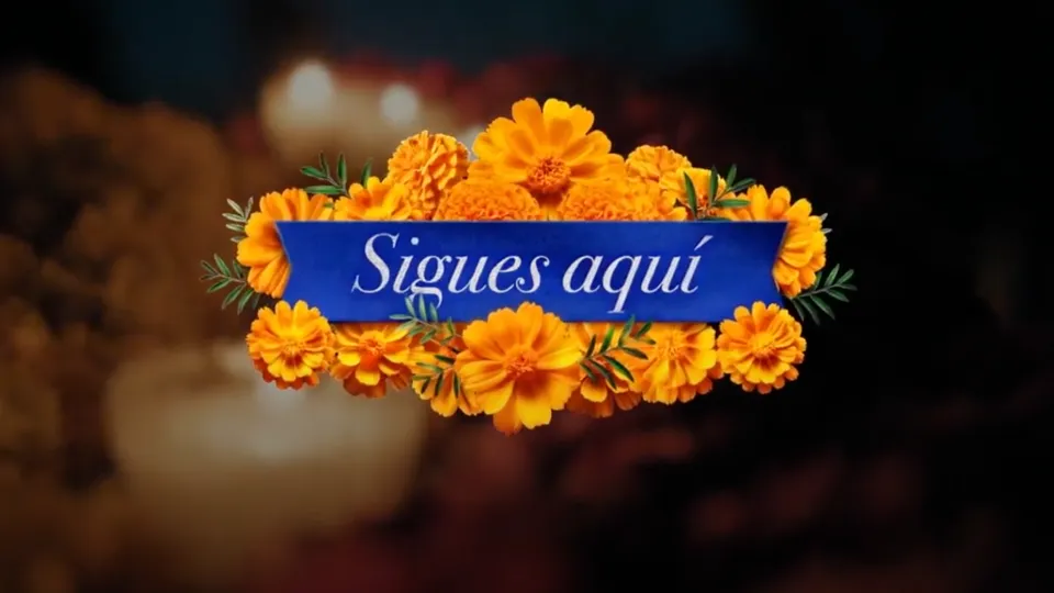 Sigues Aquí